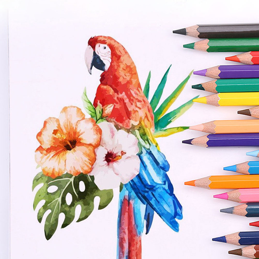 Crayons d'art multifonctions p - Colored Pencil Professional avis et prix
