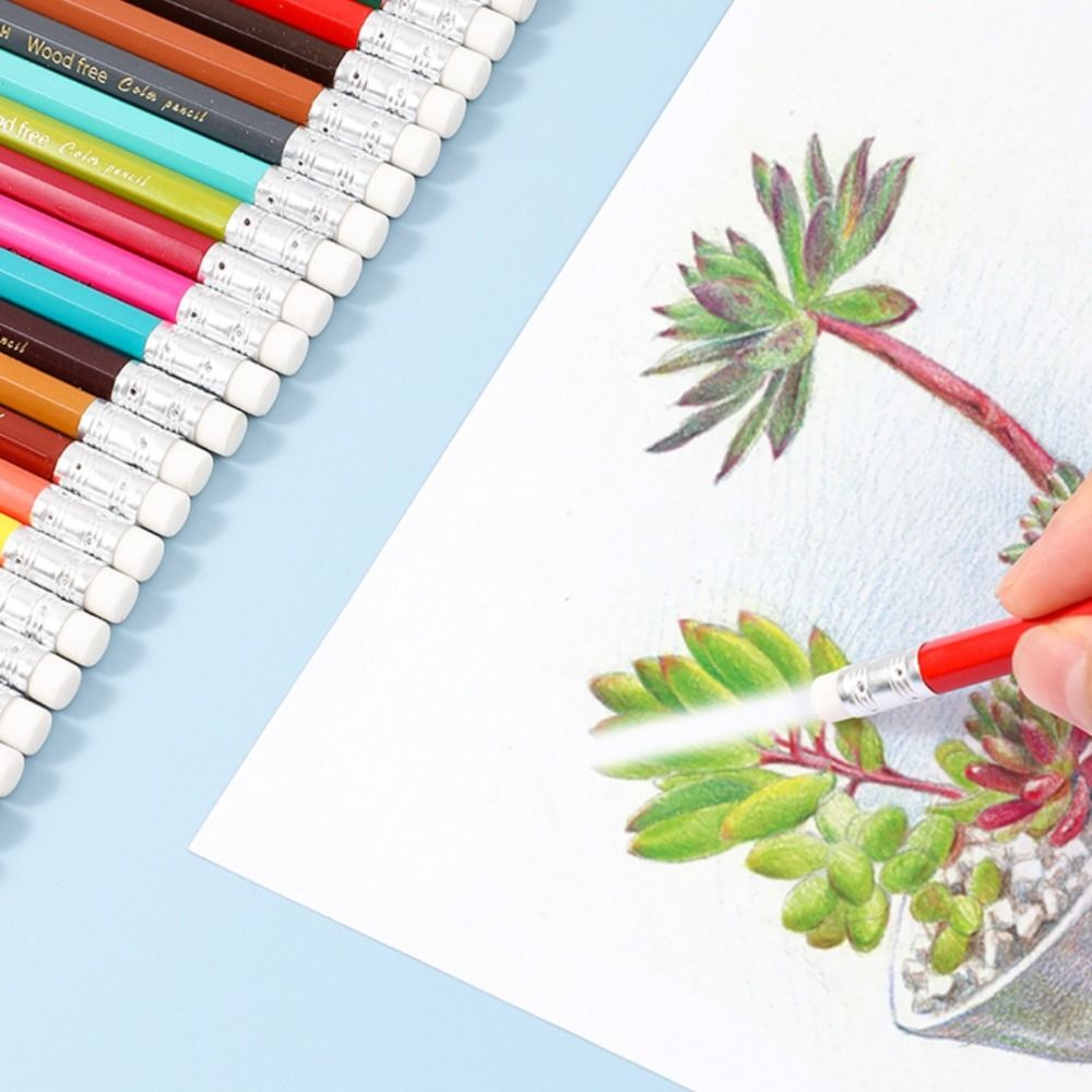 1 ensemble de crayons de peint - Colored Pencil Professional avis et prix