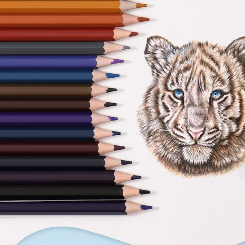 1 ensemble de crayons de peint - Colored Pencil Professional avis et prix
